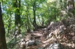 Trail du giamin ab Rapallo