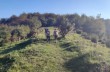 Trail du giamin ab Rapallo