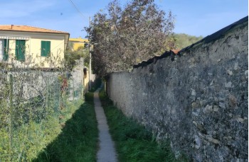 Loop trail through the Valle dei Berissi and Monte Capenardo.
