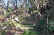 Loop trail through the Valle dei Berissi and Monte Capenardo.