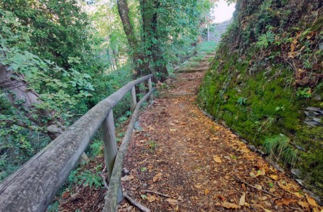 Anello Lavagna - San Salvatore - Monte San Giacomo