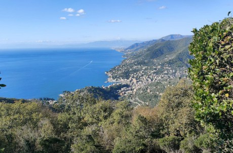 Rapallo - Recco - Camogli - Portofino Vetta - Ruta - Rapallo