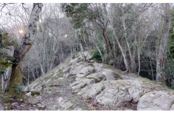 Trail ad anello Rapallo - Portofino Vetta - Ruta