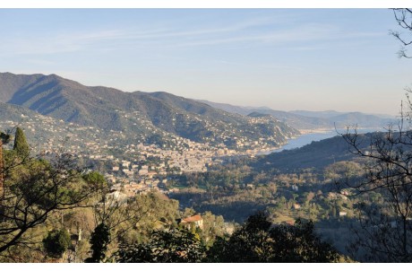Trail ad anello Rapallo - Portofino Vetta - Ruta