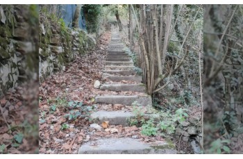 Trail ad anello Rapallo - Portofino Vetta - Ruta