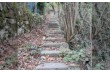 Trail ad anello Rapallo - Portofino Vetta - Ruta