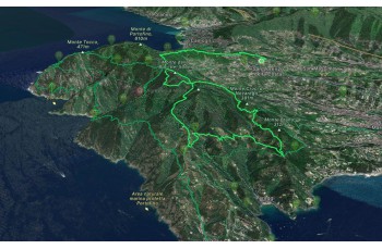 Trail monte di Portofino da Violara a Olmi