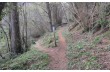 Boucle de sentier sur le Mont de Portofino de San Lorenzo à Olmi et Gave.