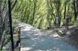 Portofino Vetta - San Rocco