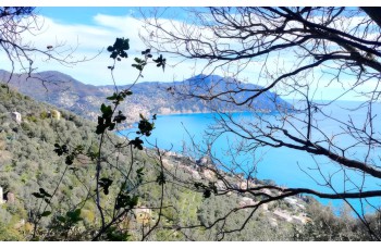 Panorama Monte di Portofino, portofinotrek