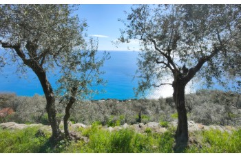 Panorama San'Apollinare, portofinotrek