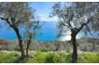 Panorama San'Apollinare, portofinotrek