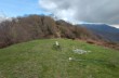 Rundweg von Uscio nach Pannesi und Calcinara und NS del Bosco