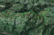 Sentier en boucle d'Uscio à Tribogna et Cave di Monte Rosso