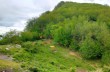 Circular trail starting from Case Becco