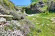 Circular trail from Uscio to the Caravaggio Sanctuary.