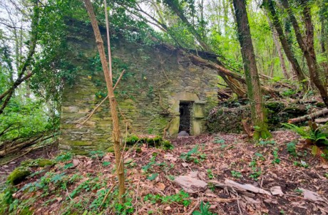 Montallegro - Villa Oneto - Cian de Dria - Bocco di Leivi