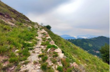 Sentiero - portofinotrek