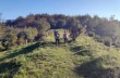Circular trail from Uscio to the Caravaggio Sanctuary.