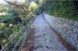 Nozarego - Cappelletta della Gave - Olmi