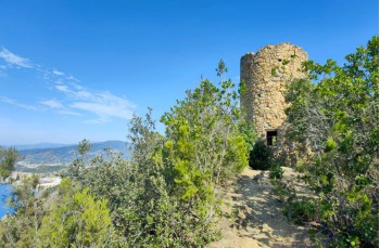 Torre Punta Baffe
