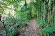 Canneto sulla ciclabile dell'ardesia - portofinotrek