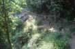 Wanderung von Paraggi nach Cala degli Inglesi