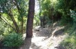 Wanderung von Paraggi nach Cala degli Inglesi