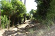 Wanderung von Paraggi nach Cala degli Inglesi