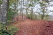 Rundweg von Ventarola zum Monte Ramaceto und zurück