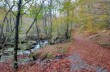 Sentier circulaire de Ventarola au Monte Ramaceto et retour.