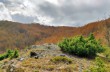 Rundweg von Ventarola über Monte Bozzale, Farfanosa, Cabanne