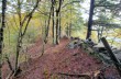 Rundweg von Ventarola über Monte Bozzale, Farfanosa, Cabanne