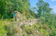 Rundweg vom Passo di Romaggi zum Monte Ramaceto und zurück