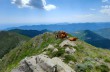 Rundweg vom Passo di Romaggi zum Monte Ramaceto und zurück