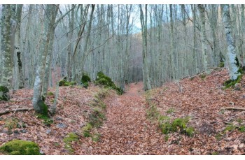 Circular trail starting from Lago delle Lame to Monte Aiona.