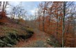 Circular trail starting from Farfanosa in Val d'Aveto.