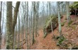 Rundweg mit Start in Farfanosa im Val d'Aveto