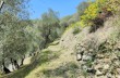 Route der 7 Pässe von Carasco nach Lorsica