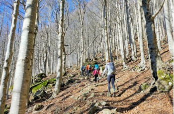 Sentiero verso Monte Trevine