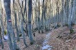 Rundweg Casermette del Penna und Monte Trevine