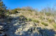 Circular trail from da Ventarola to Passo della Scoglina.