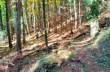 Weg des Widerstands von Borzonasca nach Rezzoaglio