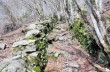 Rundweg von Neirone zum Monte Caucaso