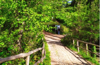 Hiking in the Park of Portofino from Portofino Vetta to Portofino.