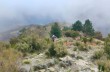 Circular trail from Cicagna to Monte Caucaso.