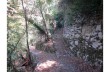 Zoagli - Semorile - San Pietro di Rovereto - Zoagli