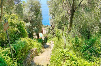 Salita Campetto Pieve Ligure