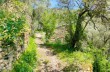 Rundweg von Pieve Ligure über Teriasca und Santa Croce