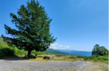 Trail von Villagrande di Cichero zur Pria Scrita
